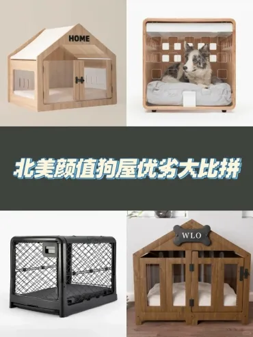 Dog House Buying Guide: Detailed Review of 4 Most Popular Do